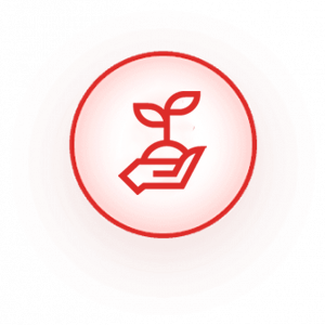 sustentabilidade-logo-300×300
